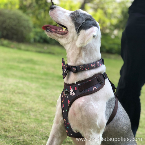 Mesh Illuminated Light-Up Flashing Led Dog Vest Harness